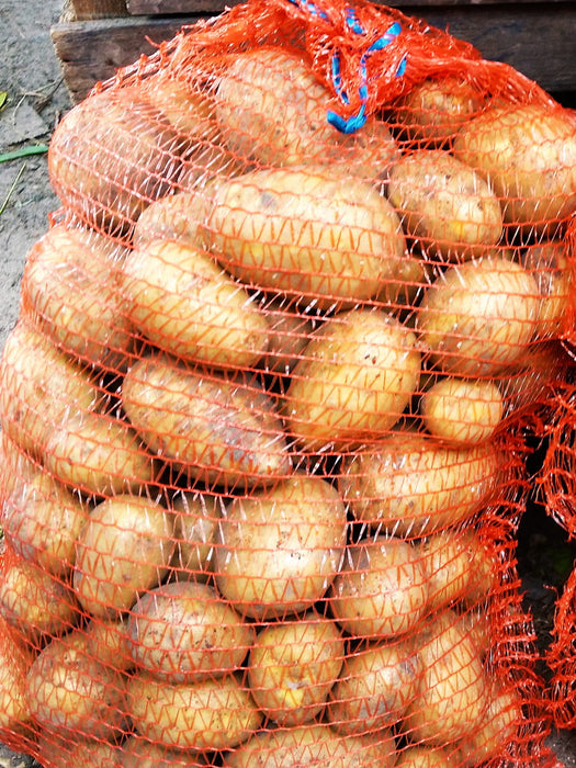 Raschel sacks, potato sack, net sack, orange 30 x 50 cm, 100 pieces