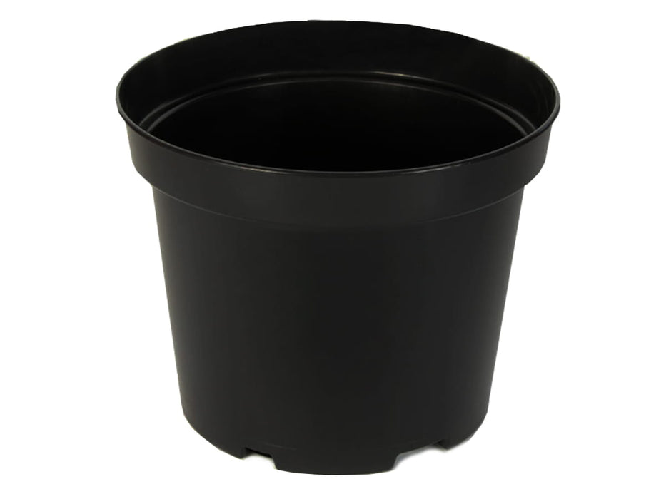Plant pot growing pot, round, black, Ø8cm, 0.2 L, 20-100 pieces 