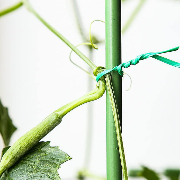 Fil de jardin, fil de plante, avec coupe-fil, vert, 20m