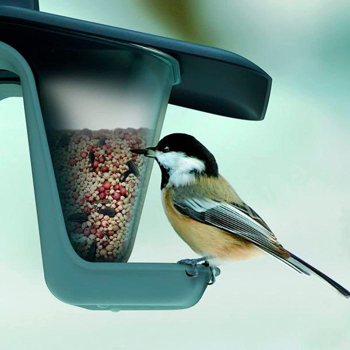 Birdhouse Birdy Feed Double - bird feeder for small wild birds
