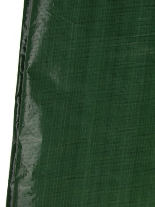 Tarpaulin, polyester tarpaulin with metal eyelets 8x10m - 90 g/m² green