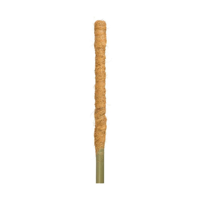 Plant stick - coconut, flower stick, climbing aid, 60 cm, 32 mm