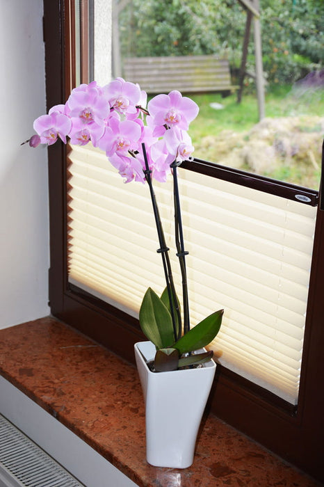 Orchid Pot Flower Pot 12x20cm GardenPot Red Transparent
